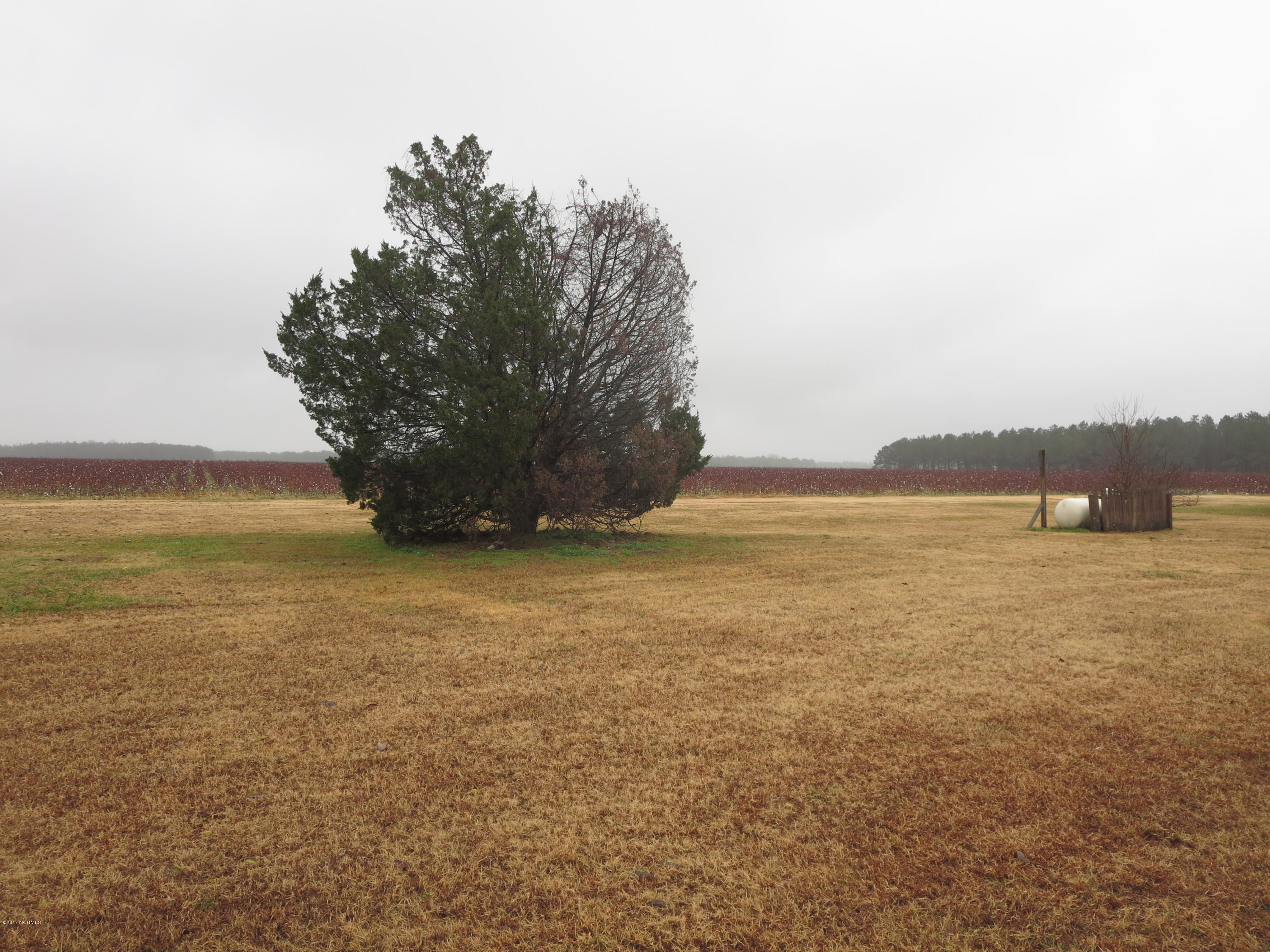 3327 Hobgood Road Hobgood, NC 27843 - Photo 24 of 33 back yard