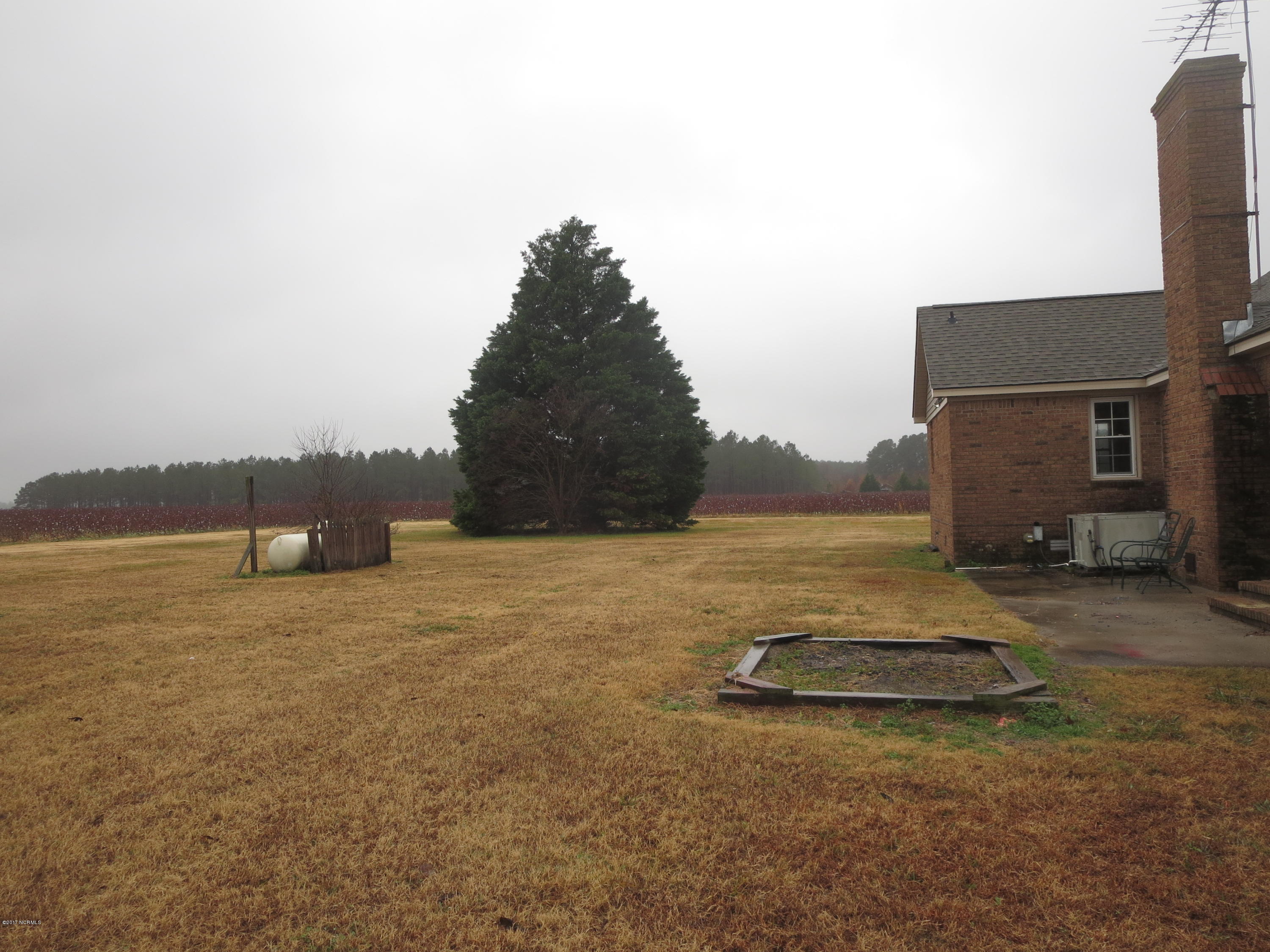 3327 Hobgood Road Hobgood, NC 27843 - Photo 26 of 33 back yard