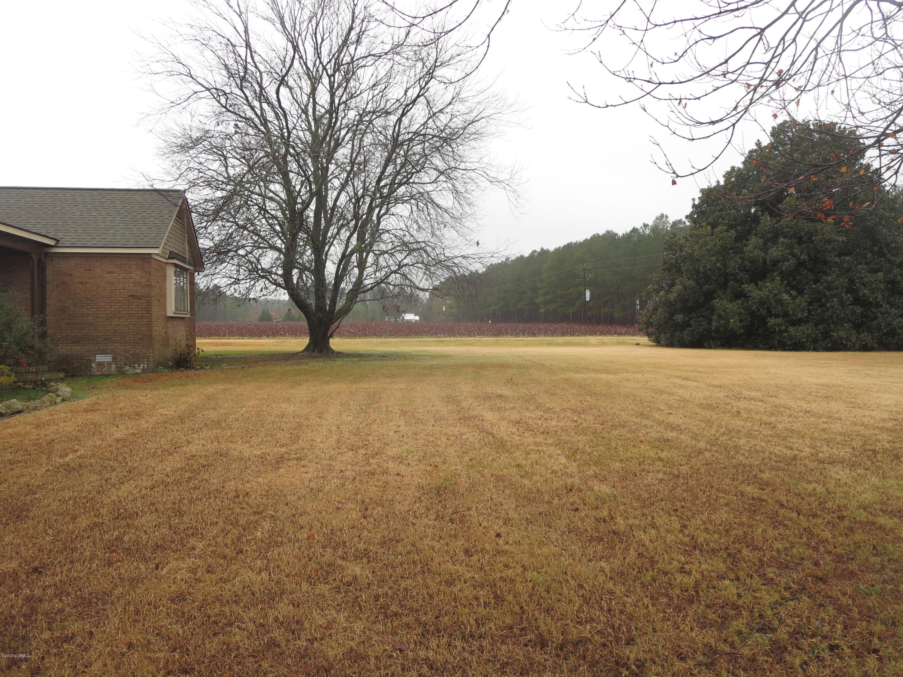 3327 Hobgood Road Hobgood, NC 27843 - Photo 29 of 33 view of front yard