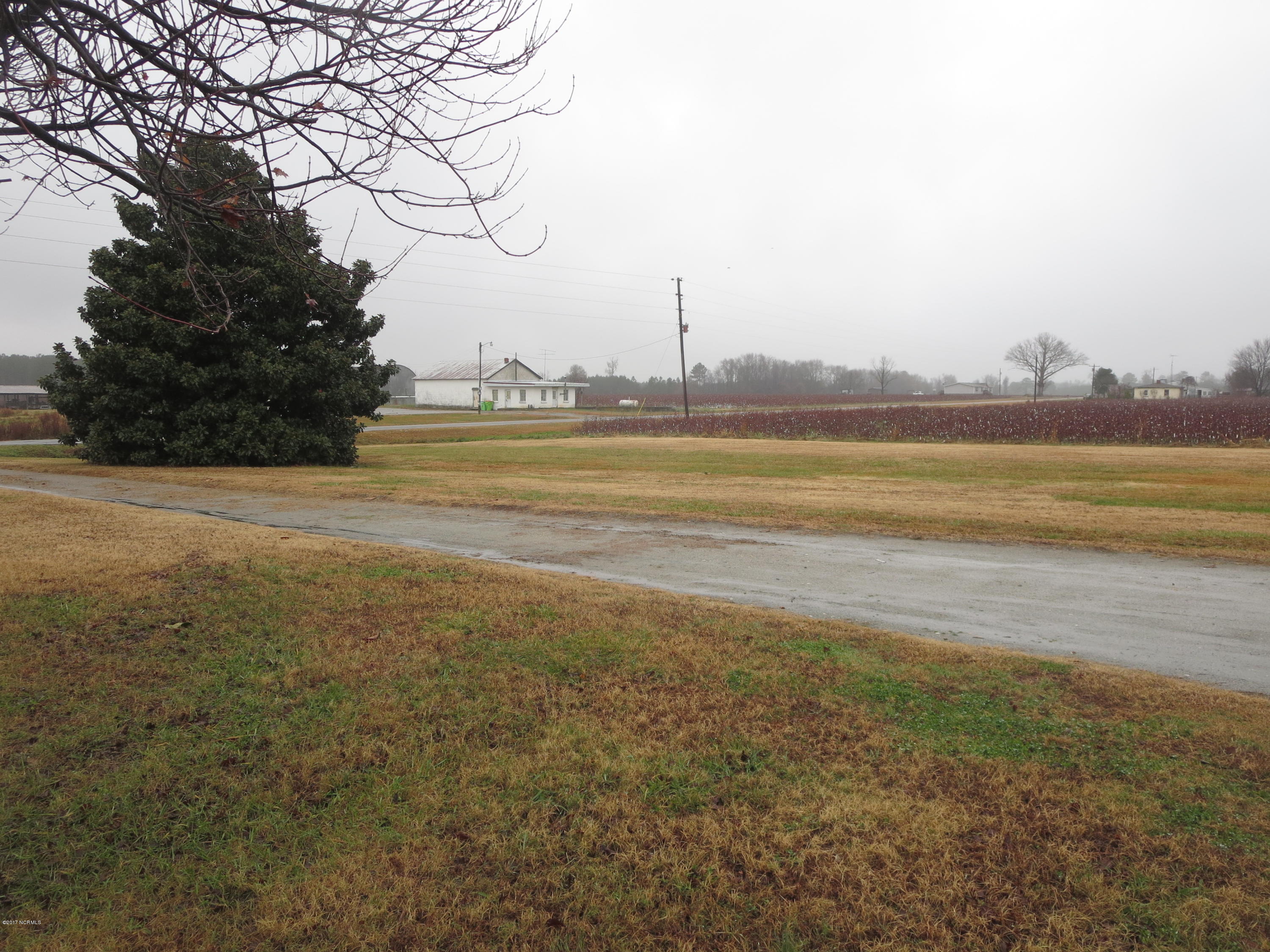 3327 Hobgood Road Hobgood, NC 27843 - Photo 31 of 33 driveway, looking toward street