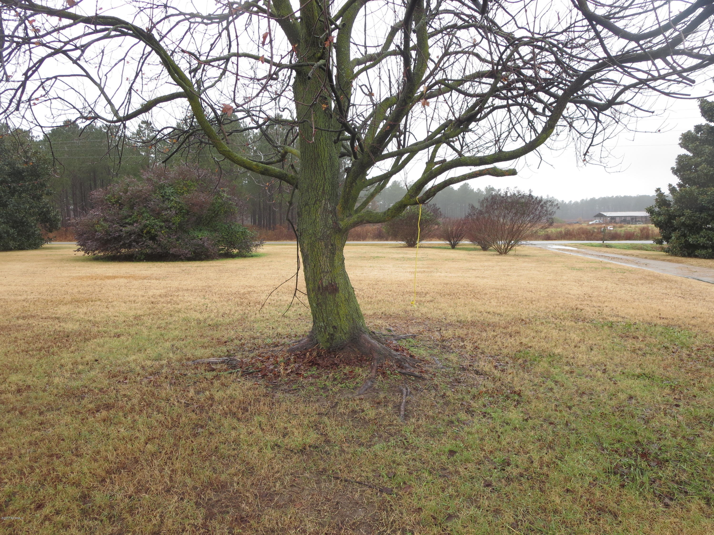 3327 Hobgood Road Hobgood, NC 27843 - Photo 32 of 33 front view of yard