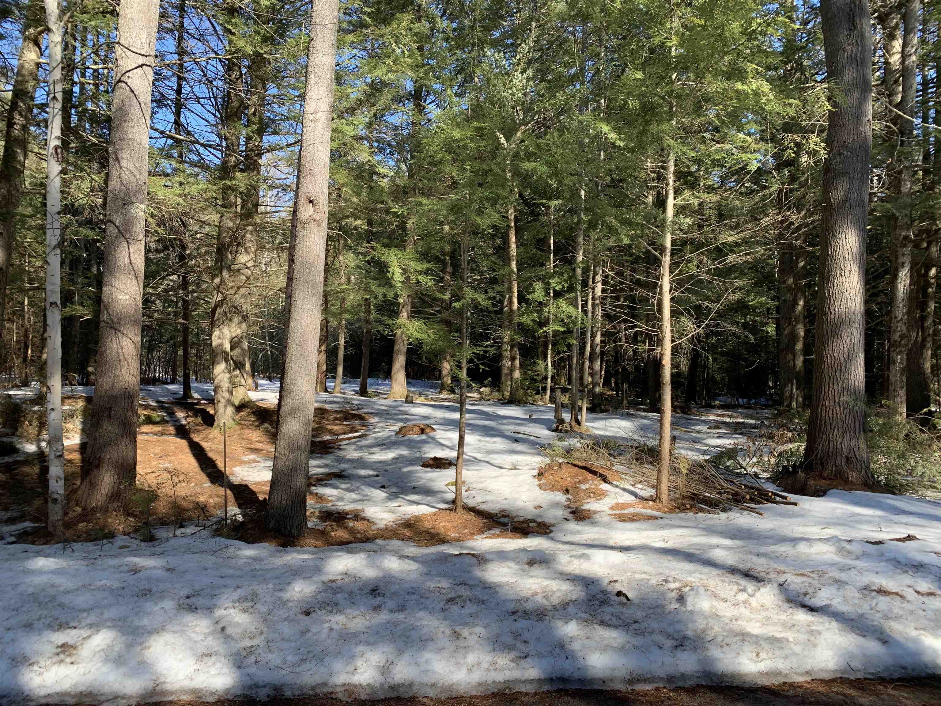Lot 5 Roberts Road Brookfield, NH 03872 - Photo 1 of 8