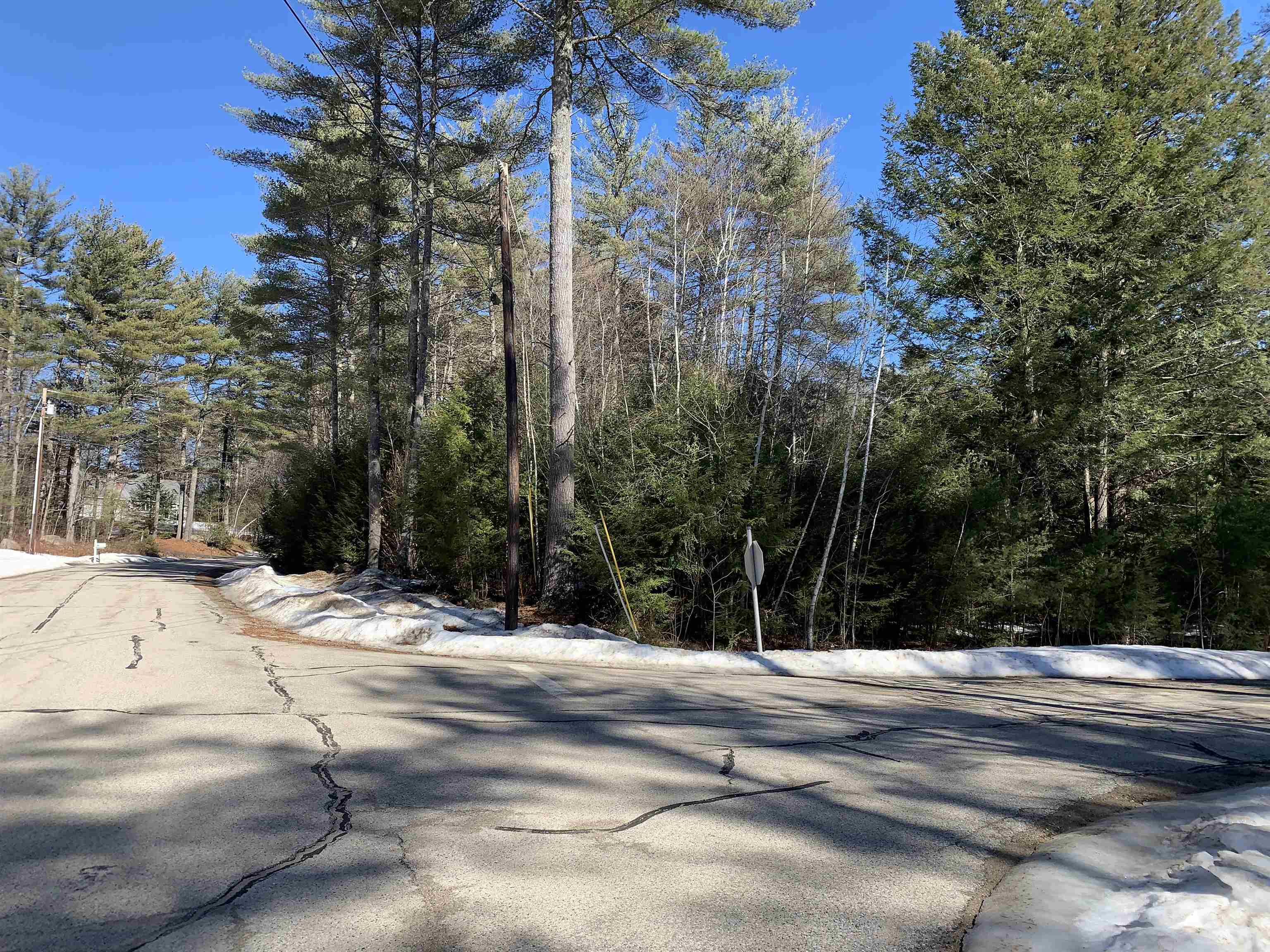 Lot 5 Roberts Road Brookfield, NH 03872 - Photo 2 of 8