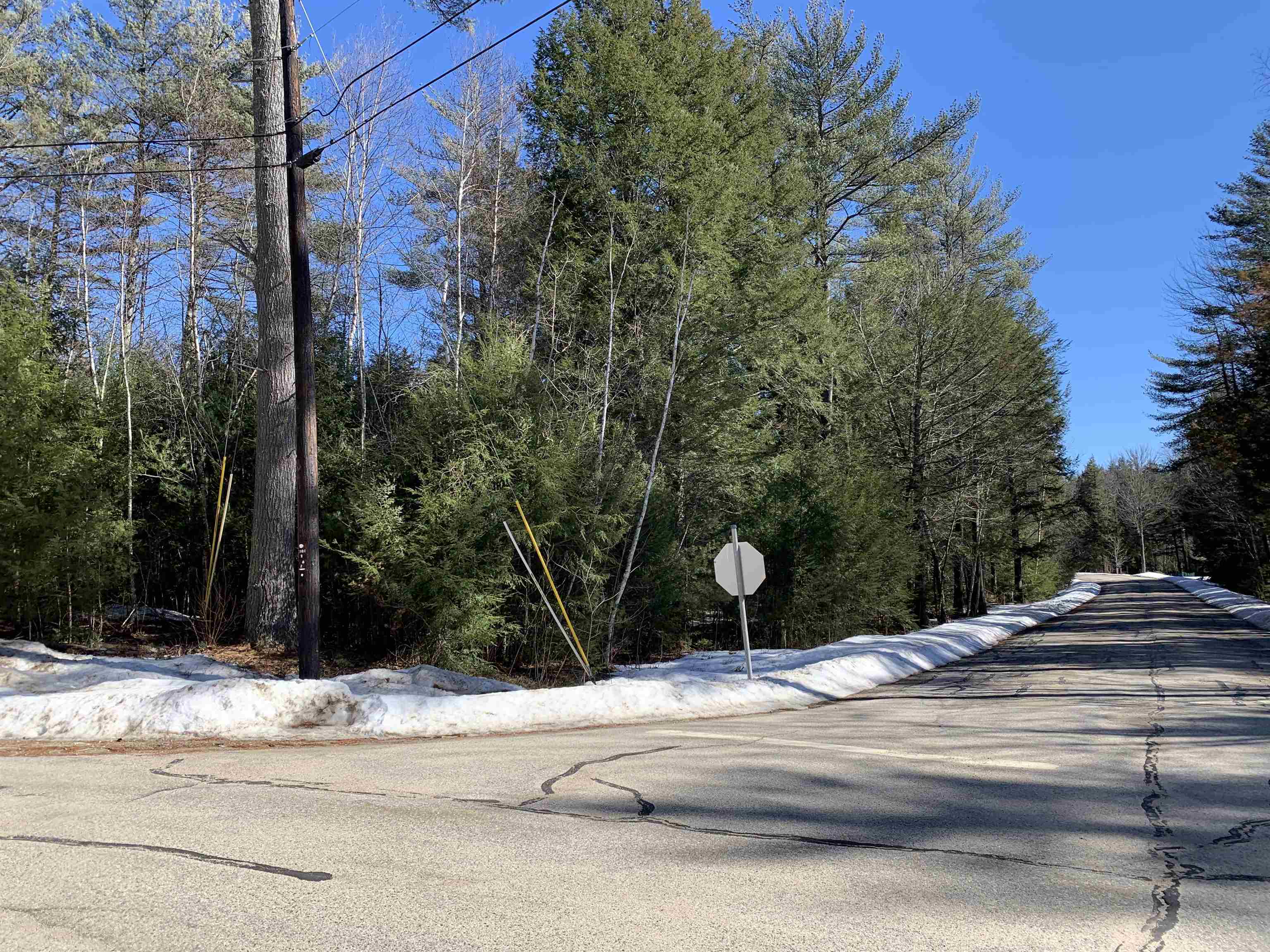 Lot 5 Roberts Road Brookfield, NH 03872 - Photo 5 of 8