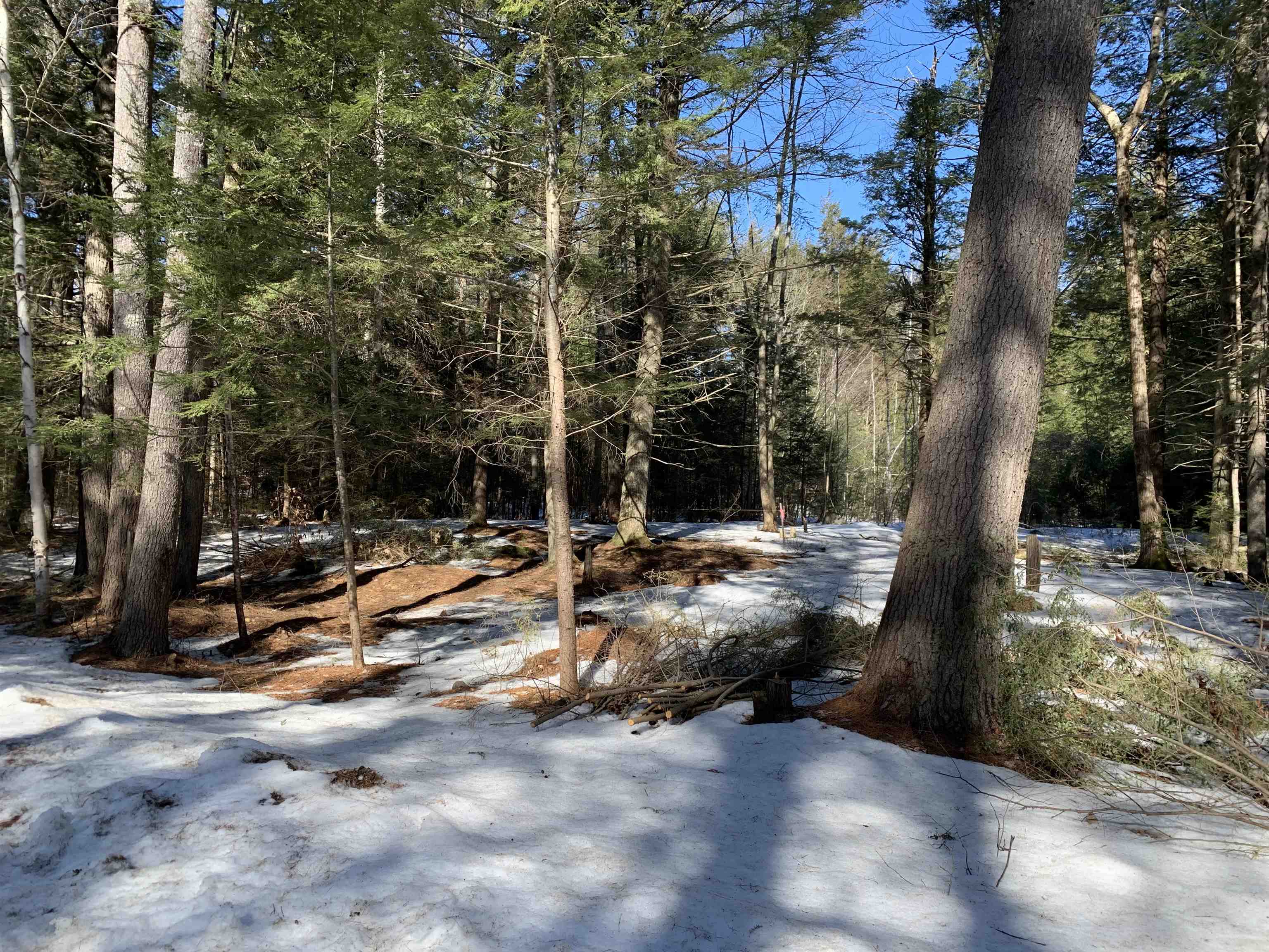 Lot 5 Roberts Road Brookfield, NH 03872 - Photo 7 of 8