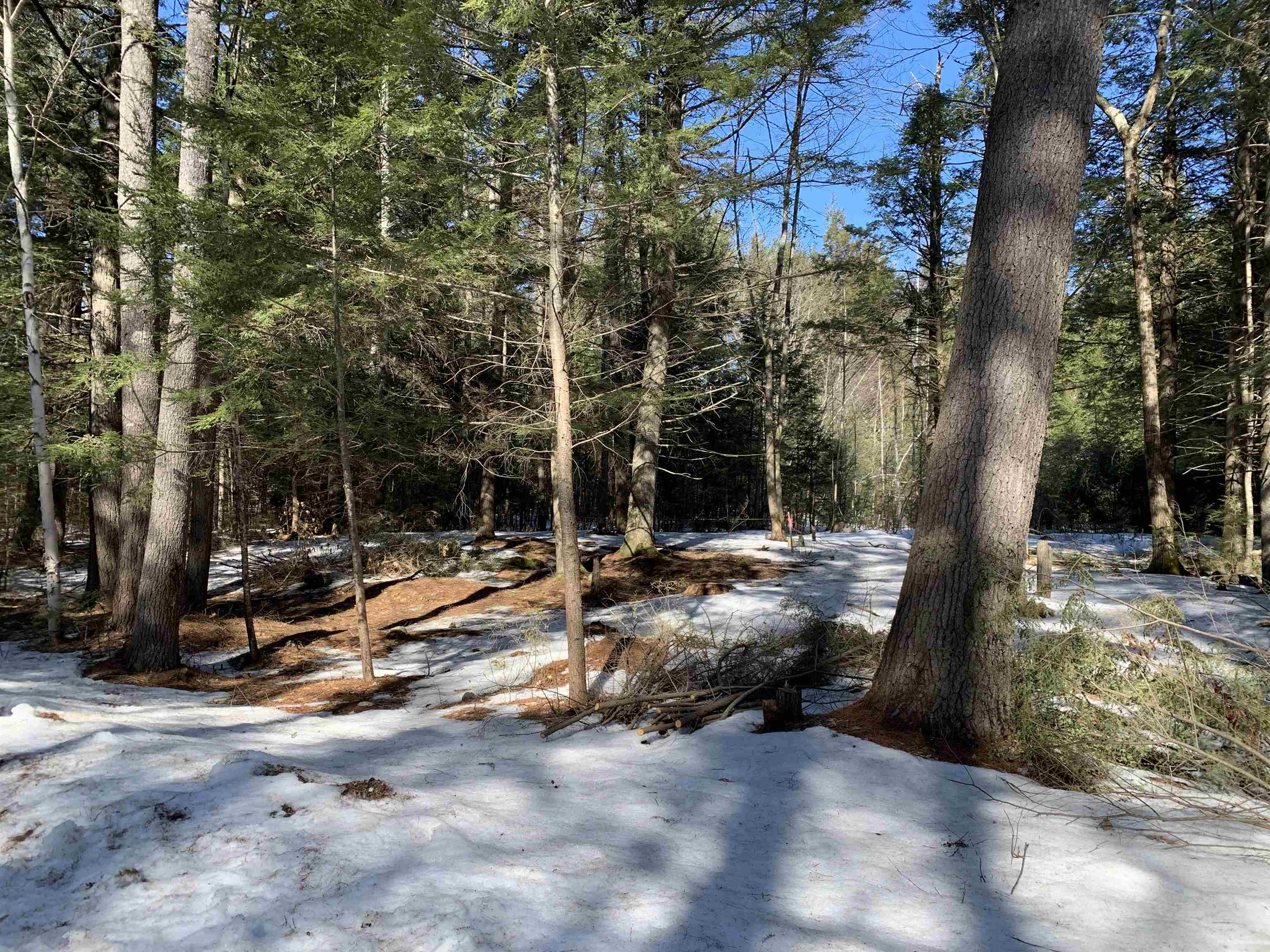 Lot 5 Roberts Road Brookfield, NH 03872 - Photo 8 of 8
