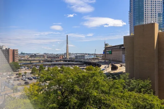 a view of a park with plants and trees
