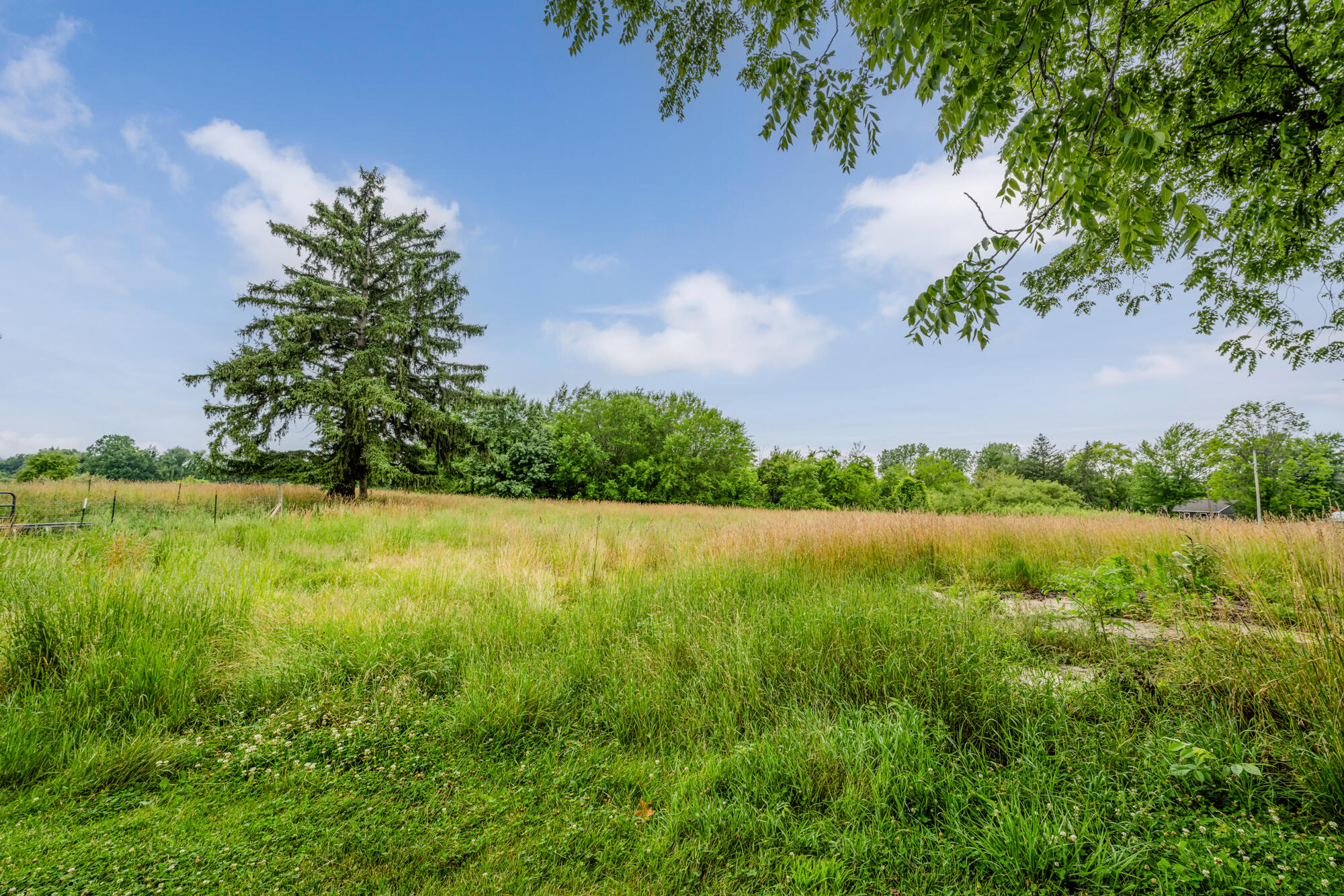 9230 Danneffel Road Watervliet, MI 49098 - Photo 5 of 49 Danneffel-106
