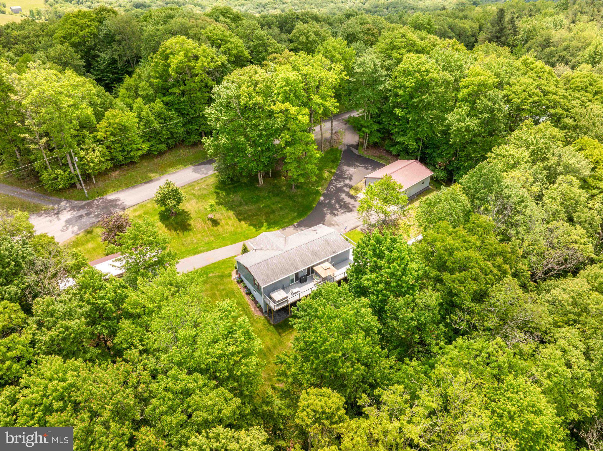 511 Hill Top Road Oakland, MD 21550 - Photo 46 of 51 Secluded retreat amidst lush greenery.