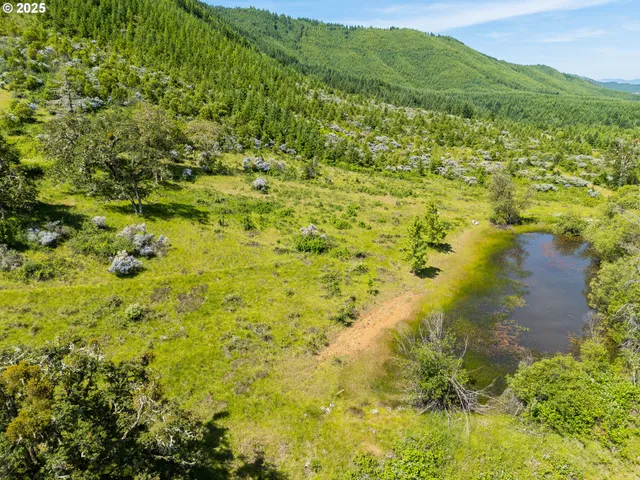 $625,000 | 736 Ferguson Lane, Days Creek, OR 97429