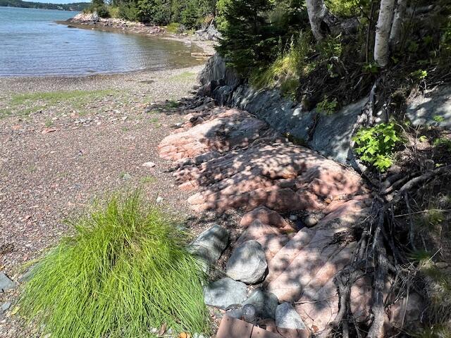 31 Yoho Head Road Machiasport, ME 04655 - Photo 16 of 21 IMG_8581