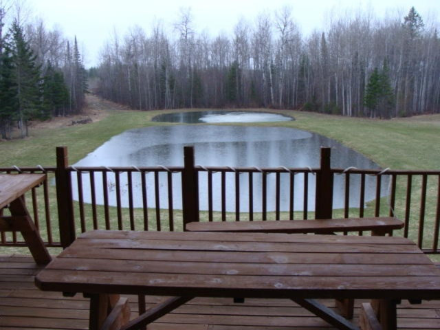16321 MacArthur Road Lachine, MI 49753 - Photo 14 of 28 DSC03083