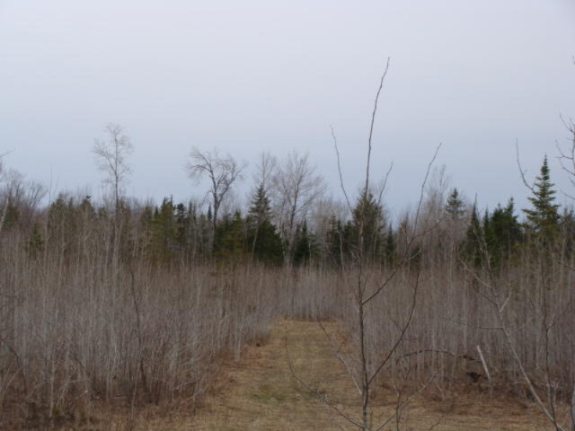 16321 MacArthur Road Lachine, MI 49753 - Photo 21 of 28 DSC03044