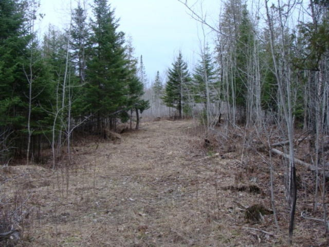16321 MacArthur Road Lachine, MI 49753 - Photo 25 of 28 DSC03058