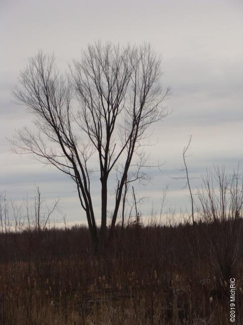 16321 MacArthur Road Lachine, MI 49753 - Photo 26 of 28 DSC03064