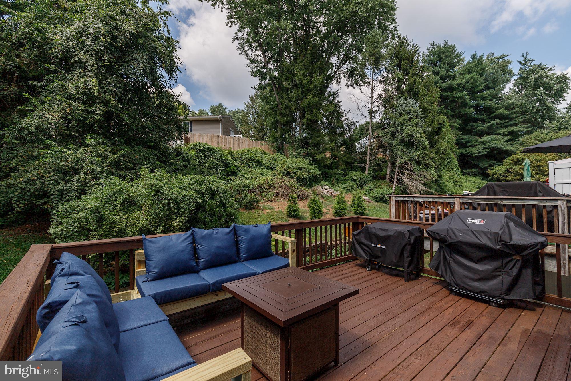 2531 Ebony Road Parkville, MD 21234 - Photo 35 of 51 Spacious Deck