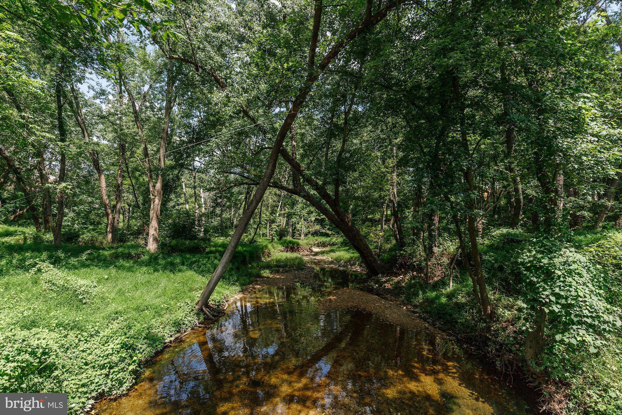 2531 Ebony Road Parkville, MD 21234 - Photo 43 of 51 Local Stream