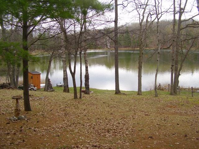 3142 Saddleback Lake Road Comins, MI 48619 - Photo 12 of 14 Gallery Image 12