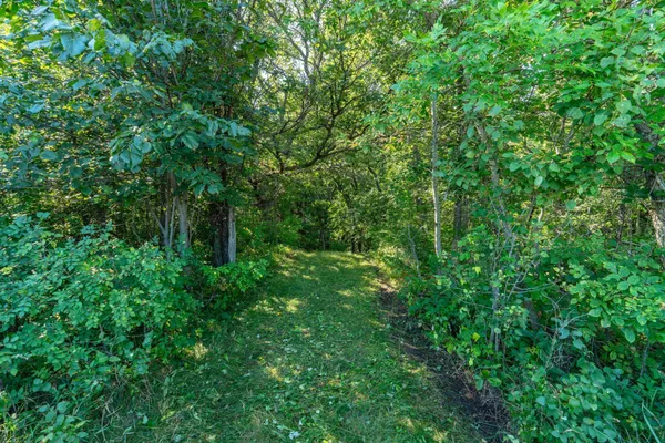 $485,000 | Tbd 344th Avenue, Battle Lake, MN 56515