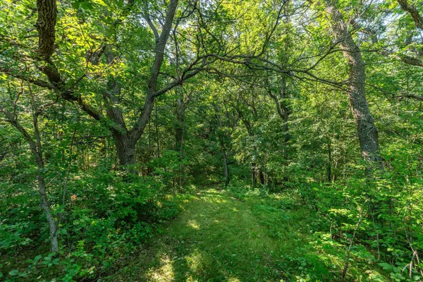 $485,000 | Tbd 344th Avenue, Battle Lake, MN 56515