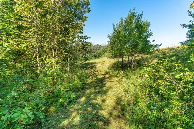 $485,000 | Tbd 344th Avenue, Battle Lake, MN 56515