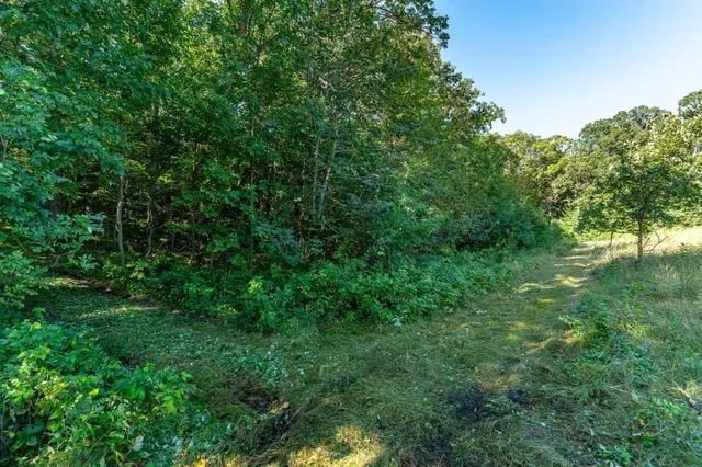 $485,000 | Tbd 344th Avenue, Battle Lake, MN 56515