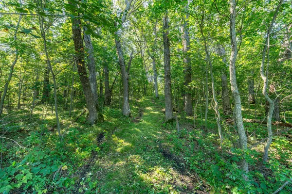 $485,000 | Tbd 344th Avenue, Battle Lake, MN 56515