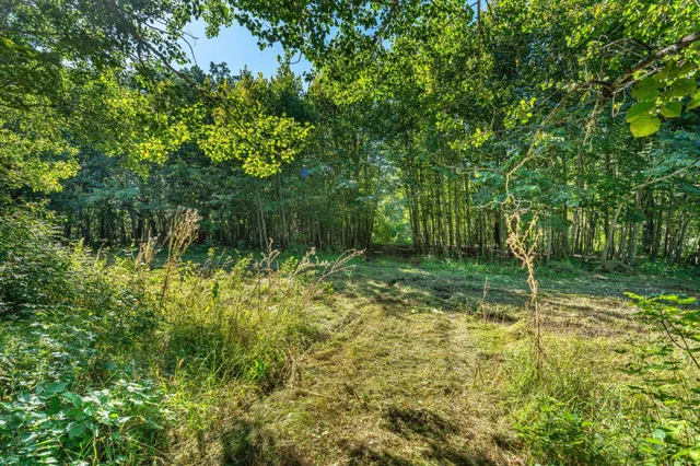 $485,000 | Tbd 344th Avenue, Battle Lake, MN 56515