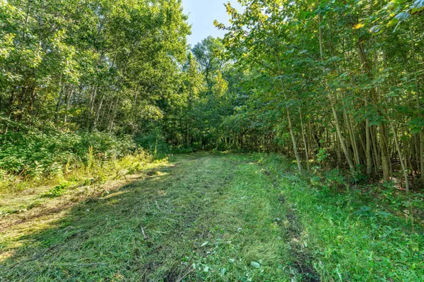 $485,000 | Tbd 344th Avenue, Battle Lake, MN 56515