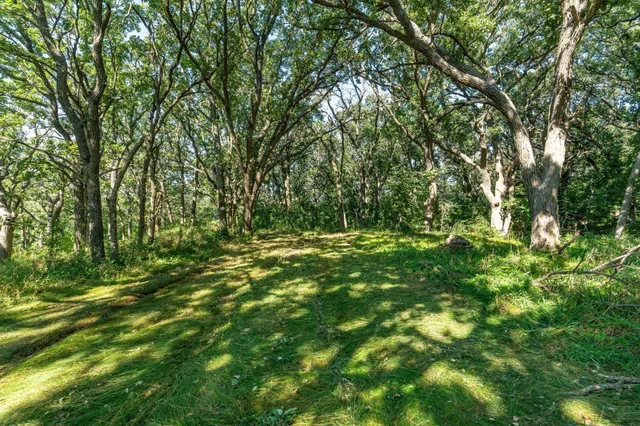 $485,000 | Tbd 344th Avenue, Battle Lake, MN 56515