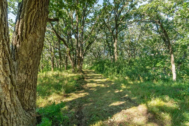 $485,000 | Tbd 344th Avenue, Battle Lake, MN 56515