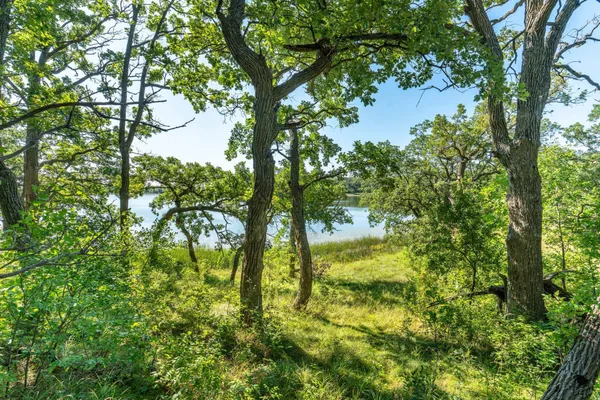 $485,000 | Tbd 344th Avenue, Battle Lake, MN 56515