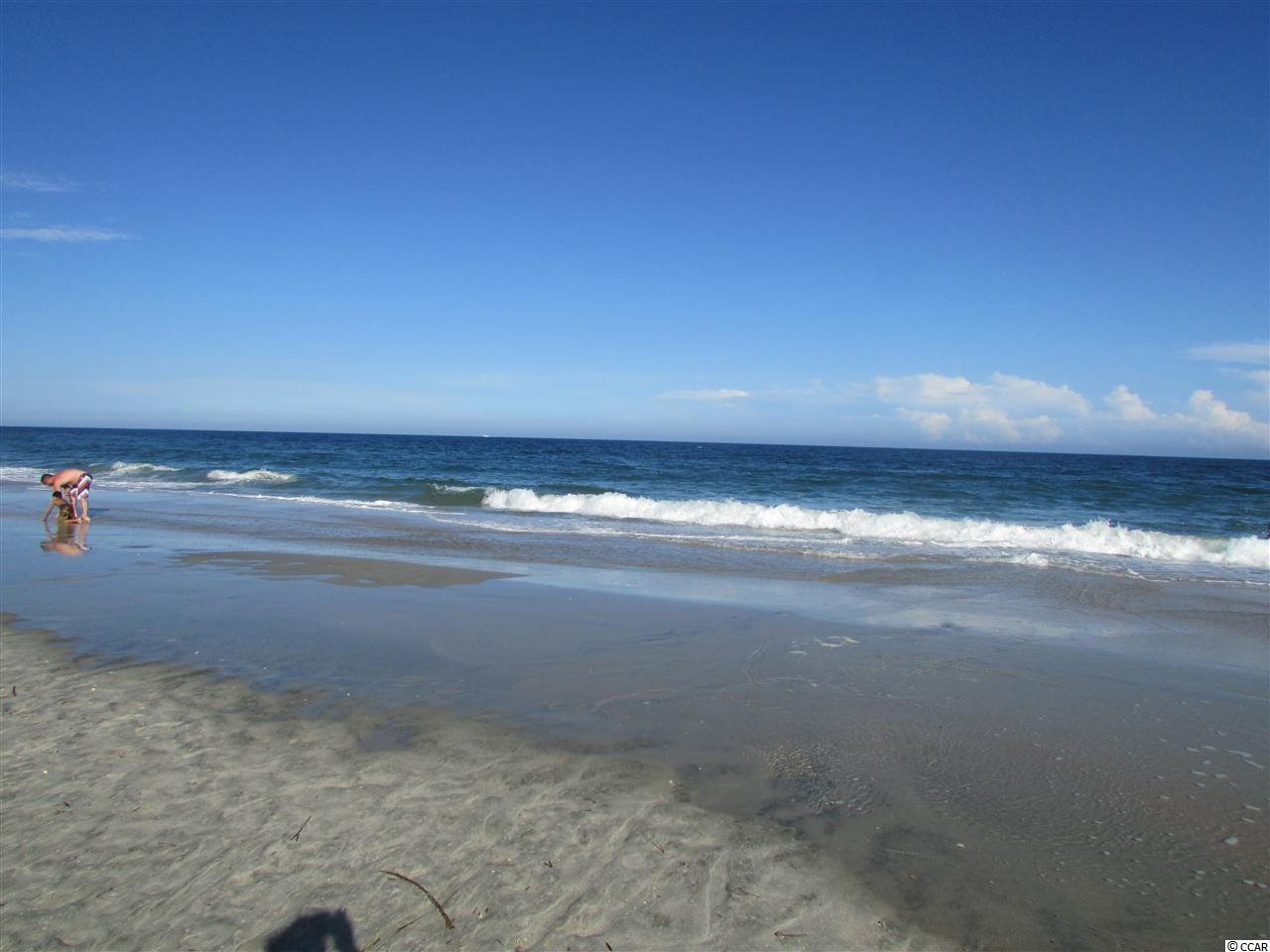 25 Reynolds Road Pawleys Island, SC 29585 - Photo 15 of 22 Gallery Image 15
