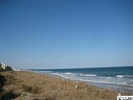 25 Reynolds Road Pawleys Island, SC 29585 - Photo 6 of 22 Gallery Image 6