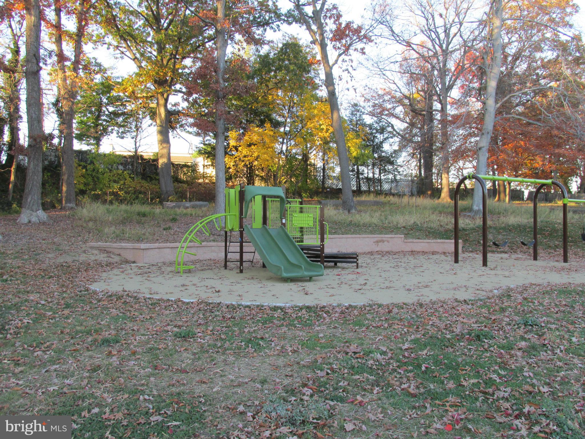 1605 Naturo Road Baltimore, MD 21286 - Photo 18 of 18 The park has a tot lot and picnic area!
