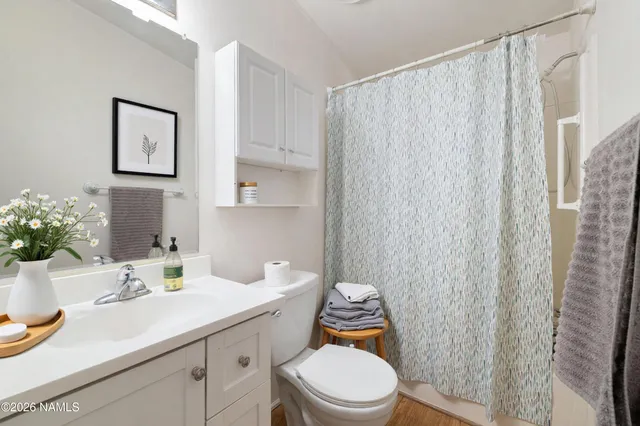 a bathroom with a sink a toilet and shower curtain
