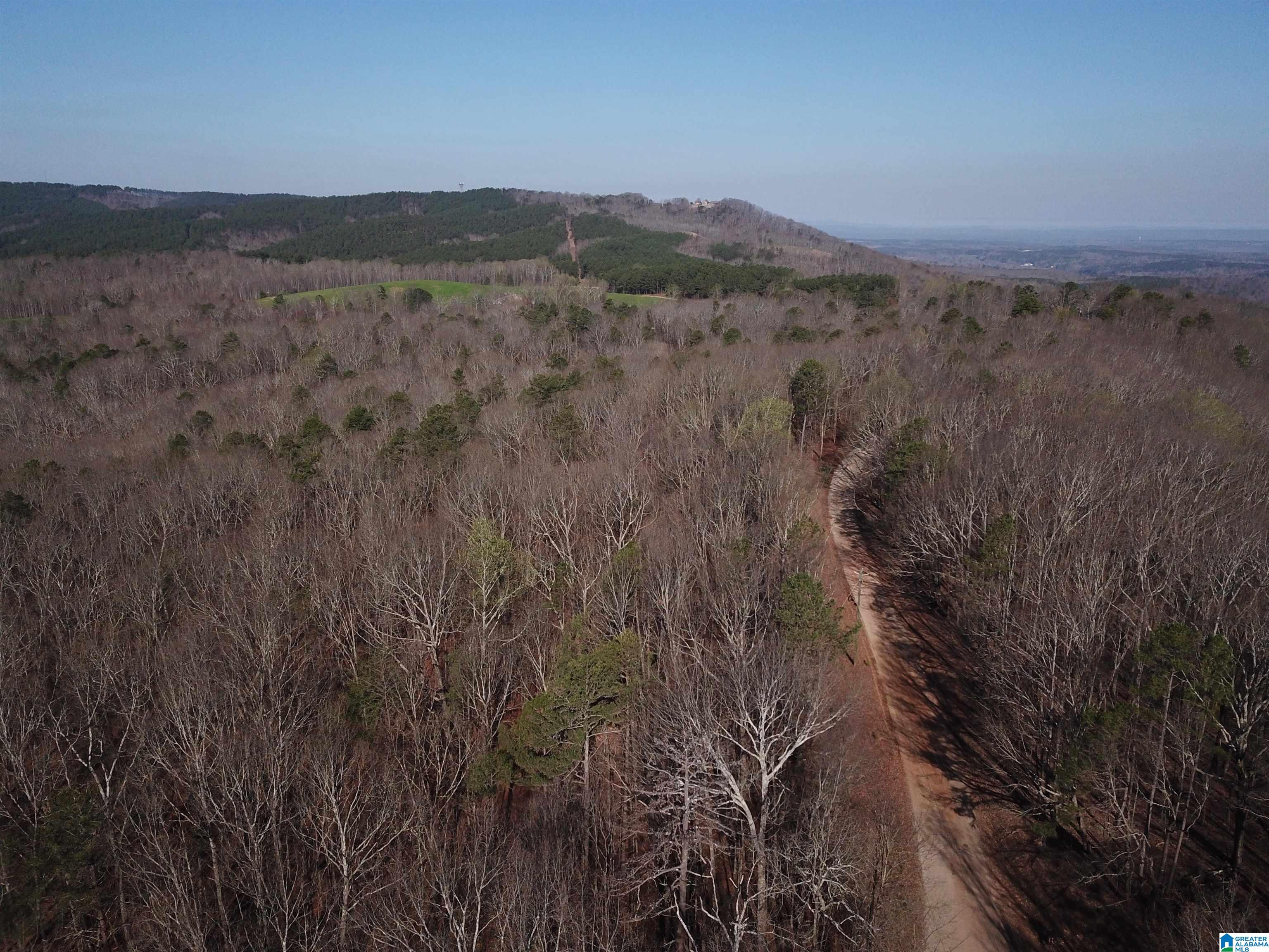 0 County Road 852, Unit 2 Ranburne, AL 36273 - Photo 17 of 19