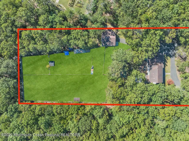 a view of a bunch of flowers and trees