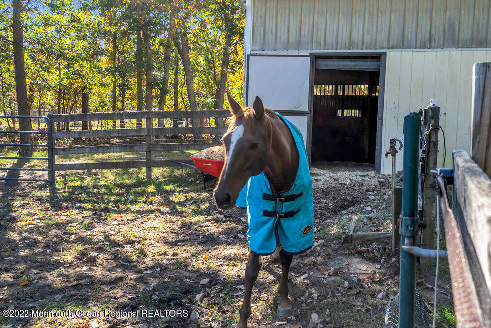 417 Basso Street Jackson, NJ 08527 - Photo 9 of 10