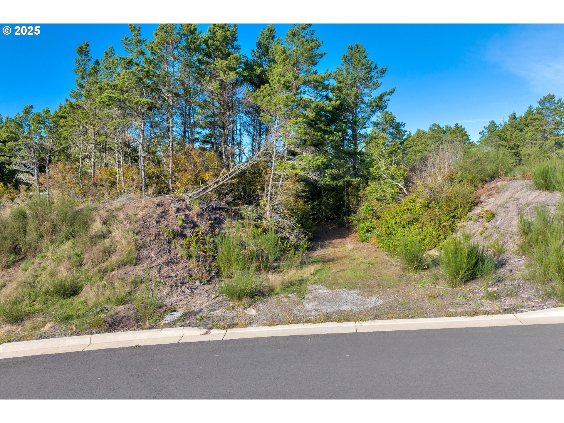 88177 Rhododendron Drive Florence, OR 97439 - Photo 6 of 9 a view of a yard with an outdoor space