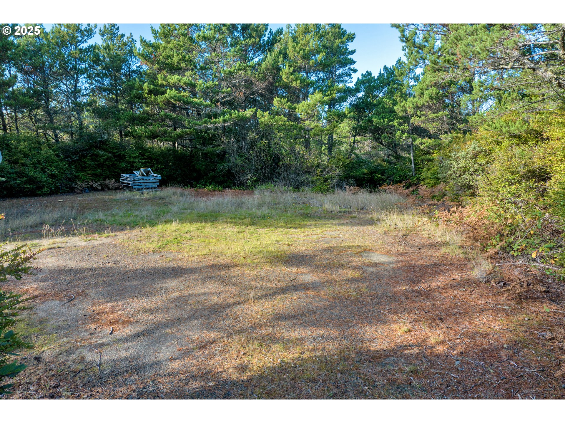 88177 Rhododendron Drive Florence, OR 97439 - Photo 8 of 9 a view of a yard with an outdoor space