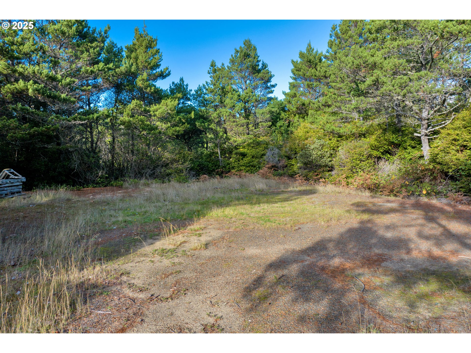 88177 Rhododendron Drive Florence, OR 97439 - Photo 9 of 9 a view of a yard with a tree