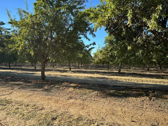 a view of a yard with a yard