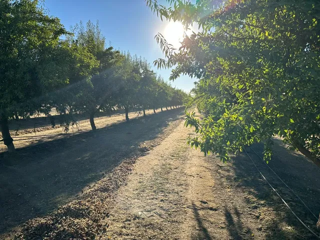 a view of a backyard with sitting area