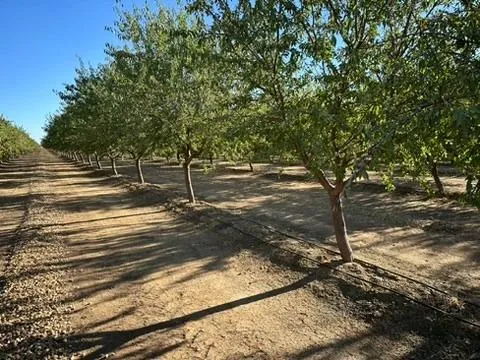 a view of outdoor space with trees