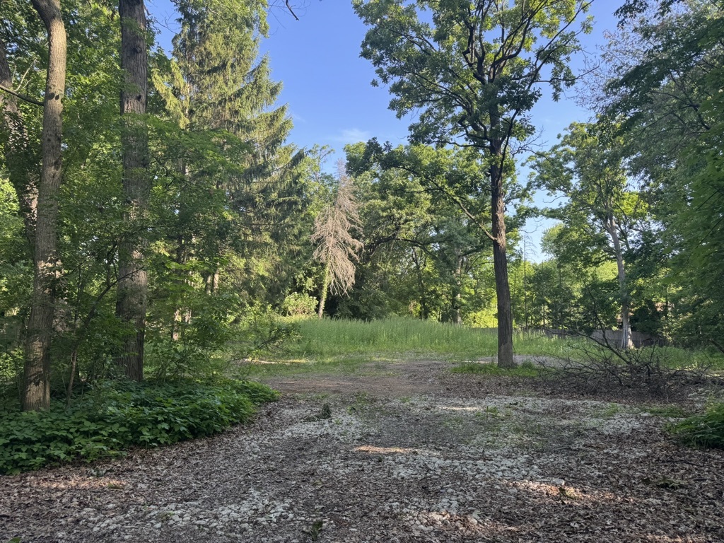 1302 Green Bay Road Lake Forest, IL 60045 - Photo 3 of 5 a view of a forest with trees