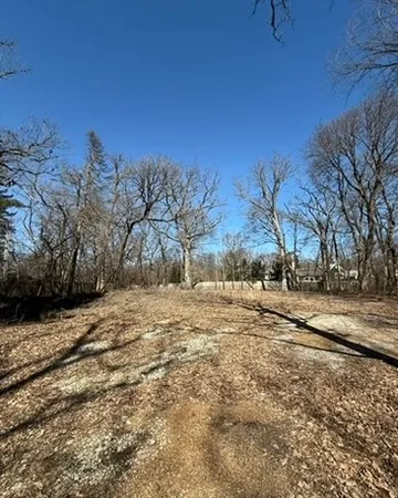 a view of dirt yard with a large tree
