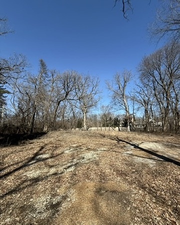 1302 Green Bay Road Lake Forest, IL 60045 - Photo 5 of 5 a view of dirt yard with a large tree
