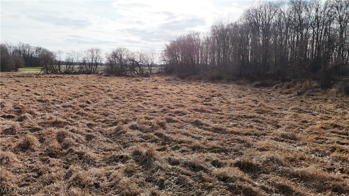 Jones Road Wellington, OH 44090 - Photo 10 of 18 View of undeveloped land featuring rural landscape