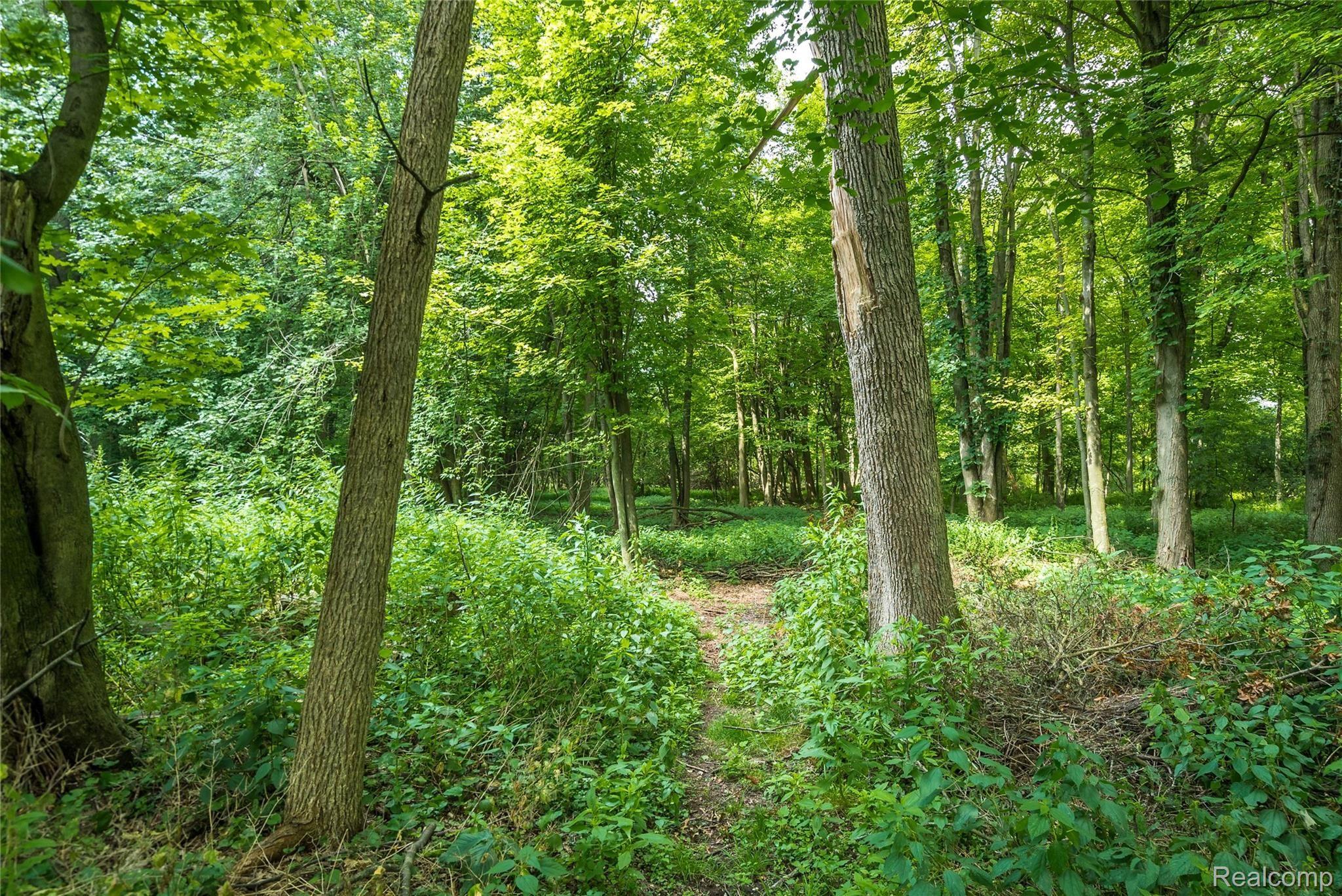 1179 Barneswood Lane Rochester, MI 48306 - Photo 25 of 32 Private Wooded Lot